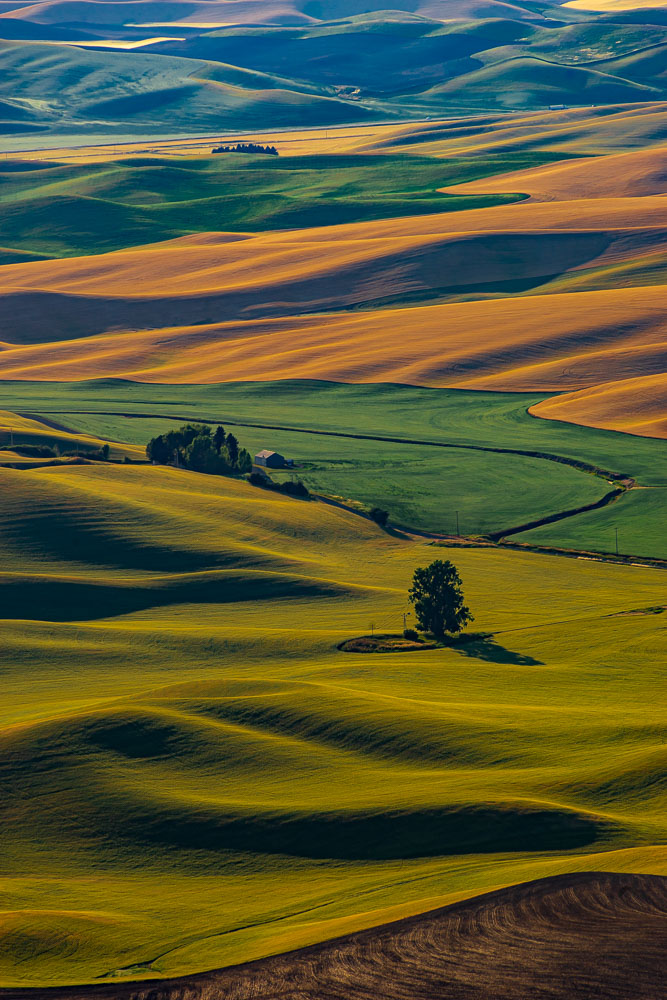Landscapes